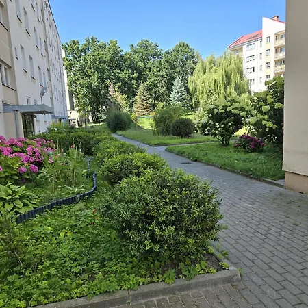 Green * Gdynia